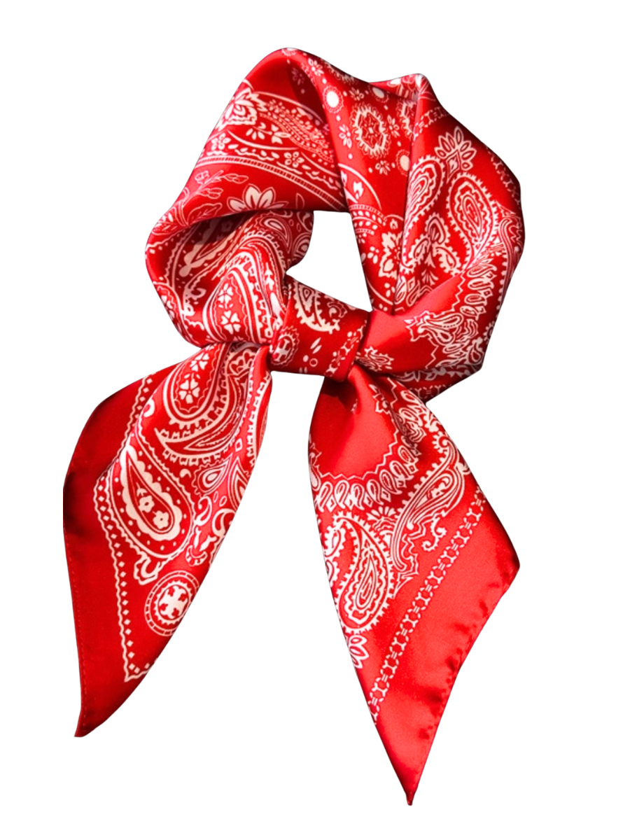 Elegant Paisley Pattern Scarf