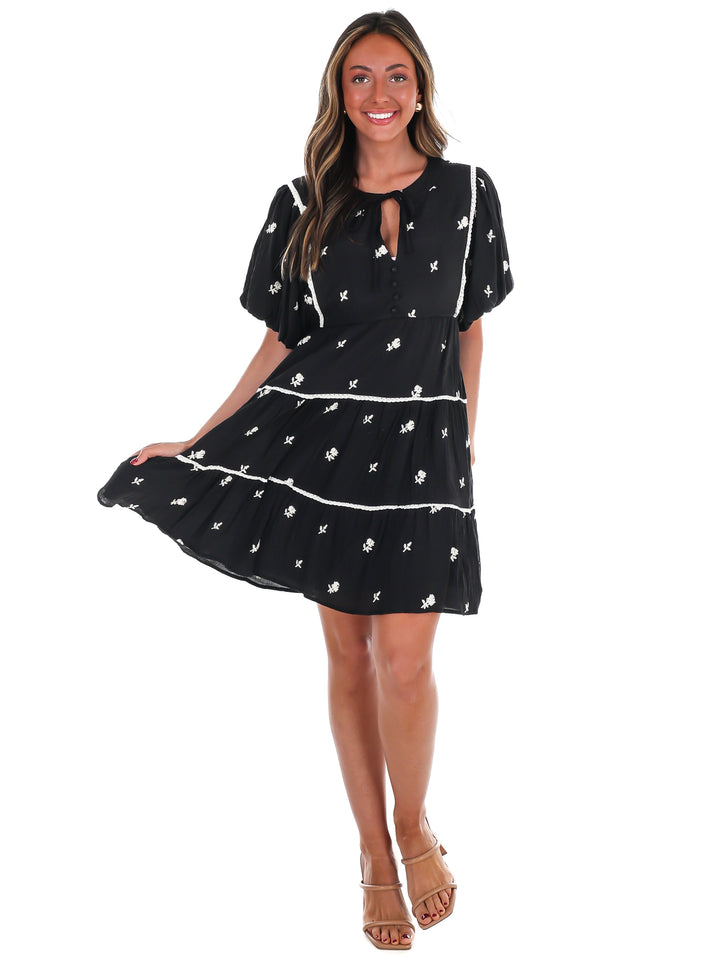 Love Without End Floral Embroidered Dress