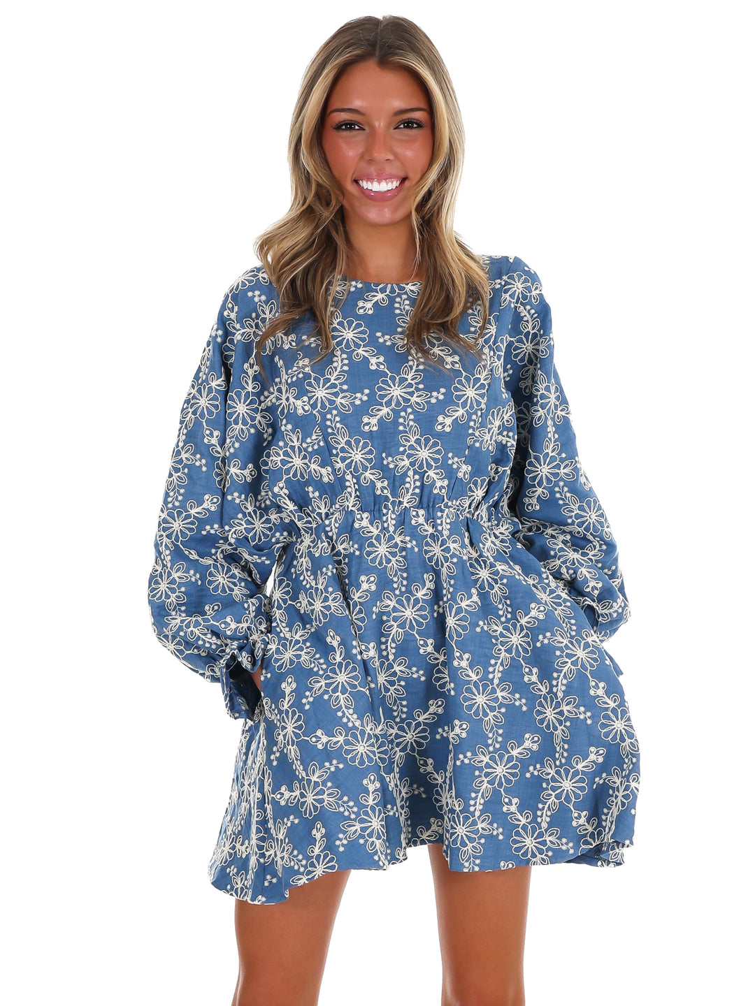 Daily Delight Embroidered Mini Dress