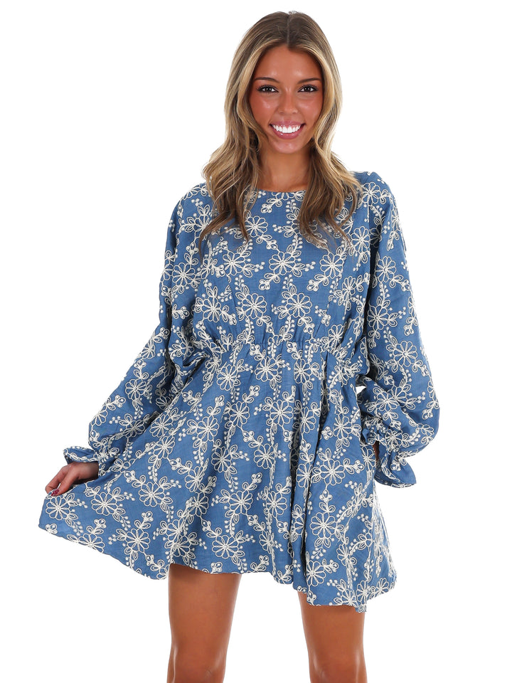 Daily Delight Embroidered Mini Dress