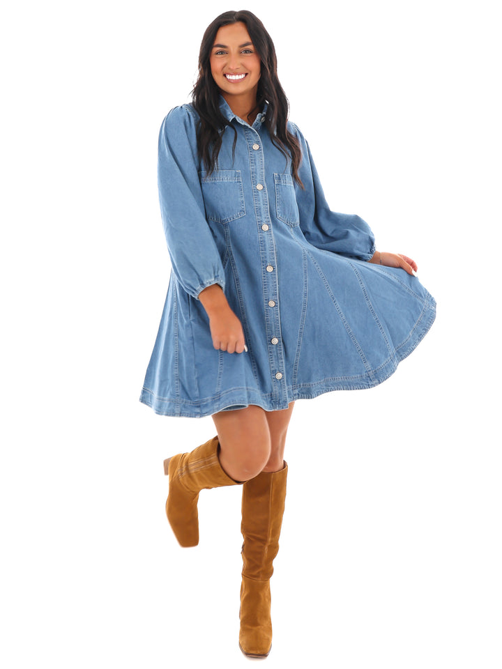 Blue Ridge Denim Mini Dress