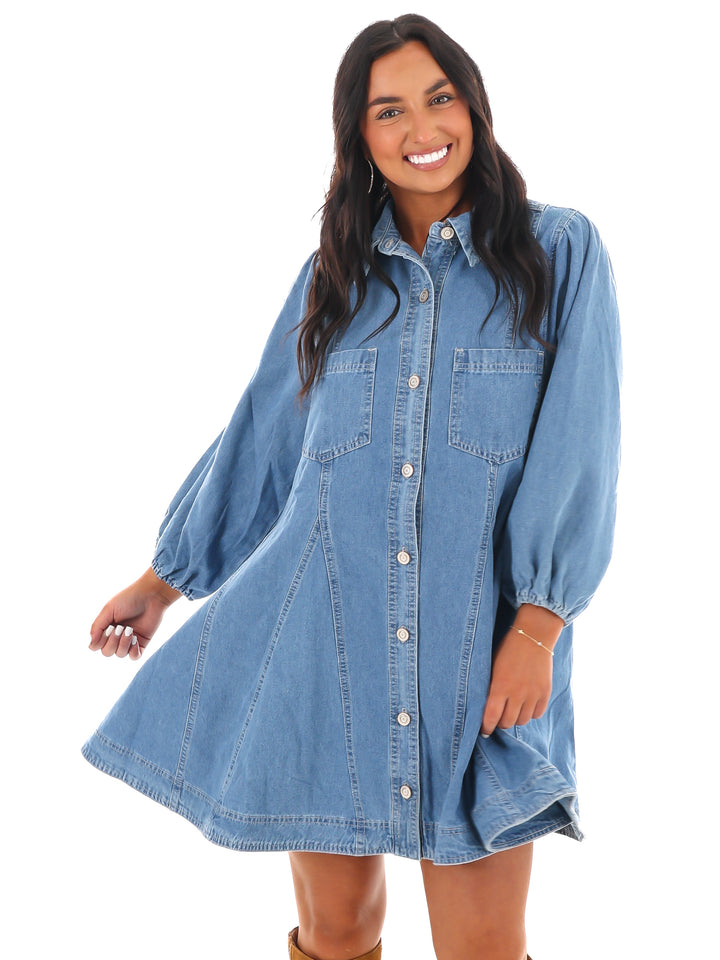 Blue Ridge Denim Mini Dress