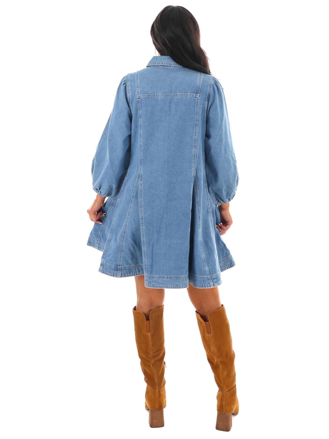 Blue Ridge Denim Mini Dress