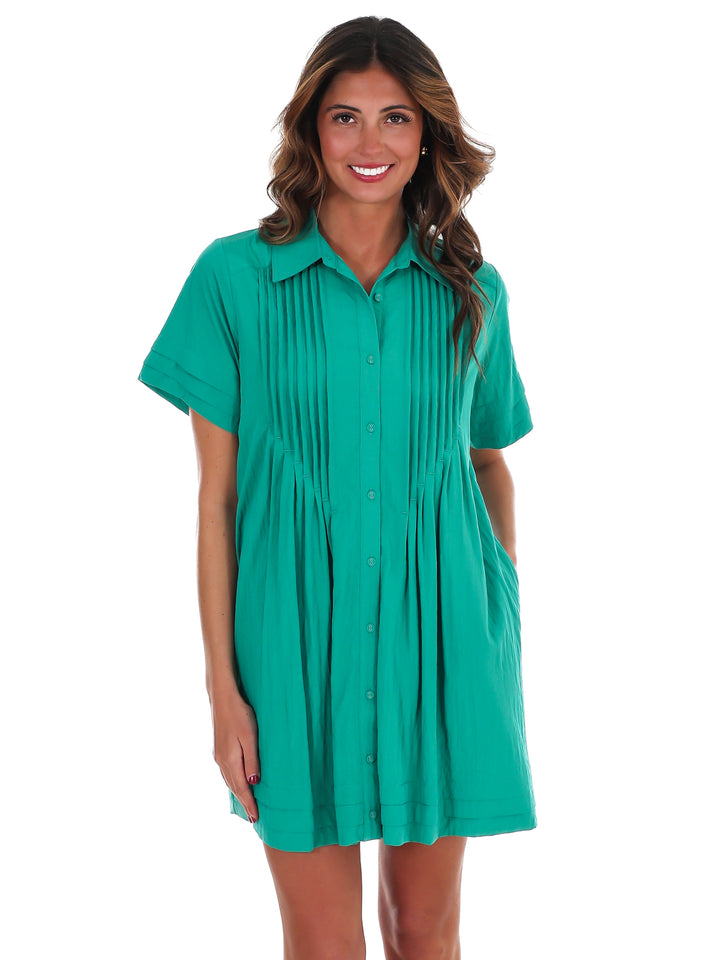 All in A Day Mini Shirt Dress