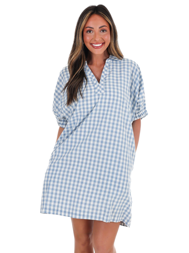 So Much to Say Gingham Mini Dress