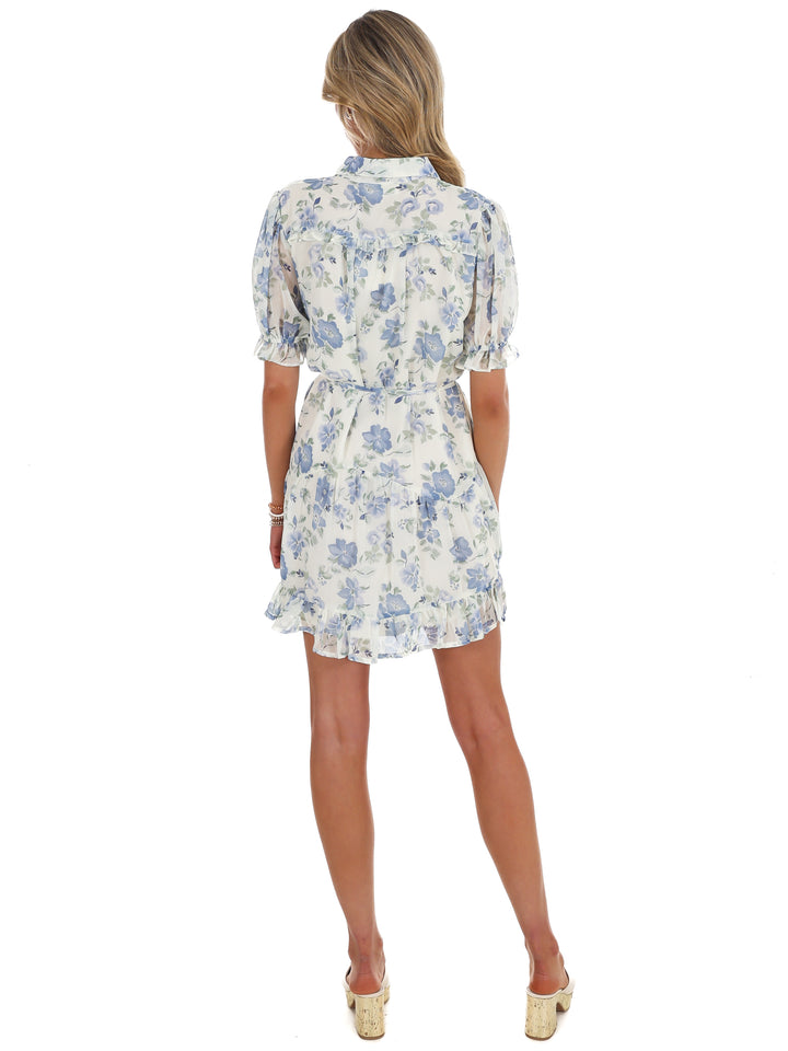 Enchanted Floral Mini Dress