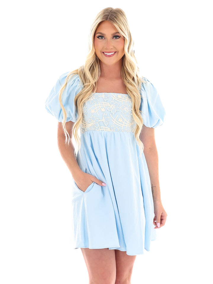 When We Meet Again Embroidered Mini Dress