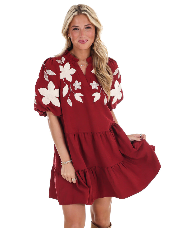 Long Story Short Embroidered Mini Dress