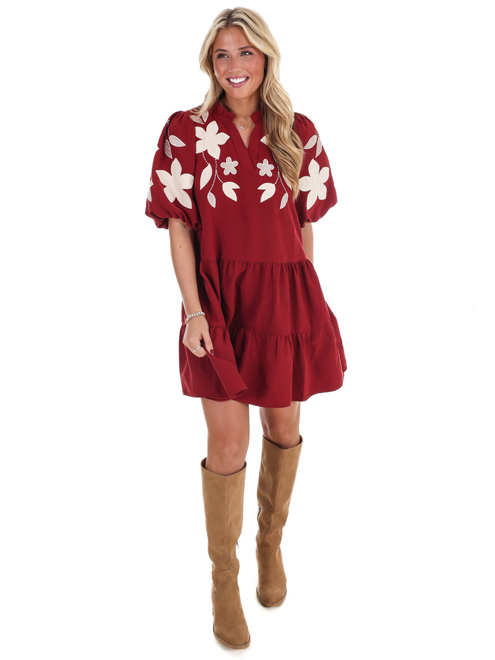 Long Story Short Embroidered Mini Dress