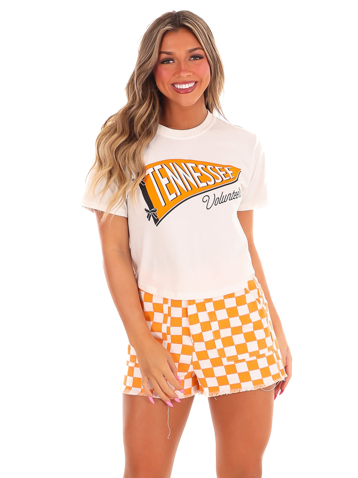 Tennessee Pennant Flag Crop Top