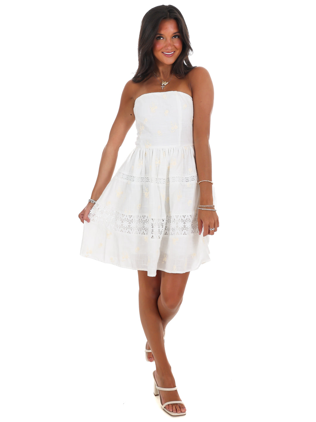 Lovelace Embroidered Mini Dress