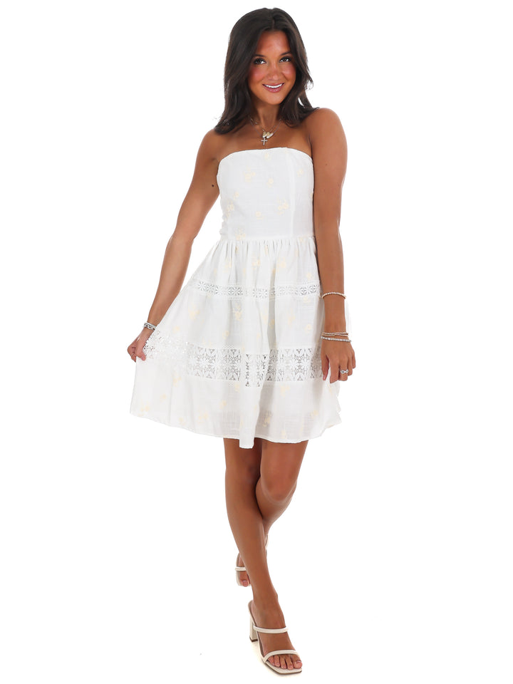 Lovelace Embroidered Mini Dress