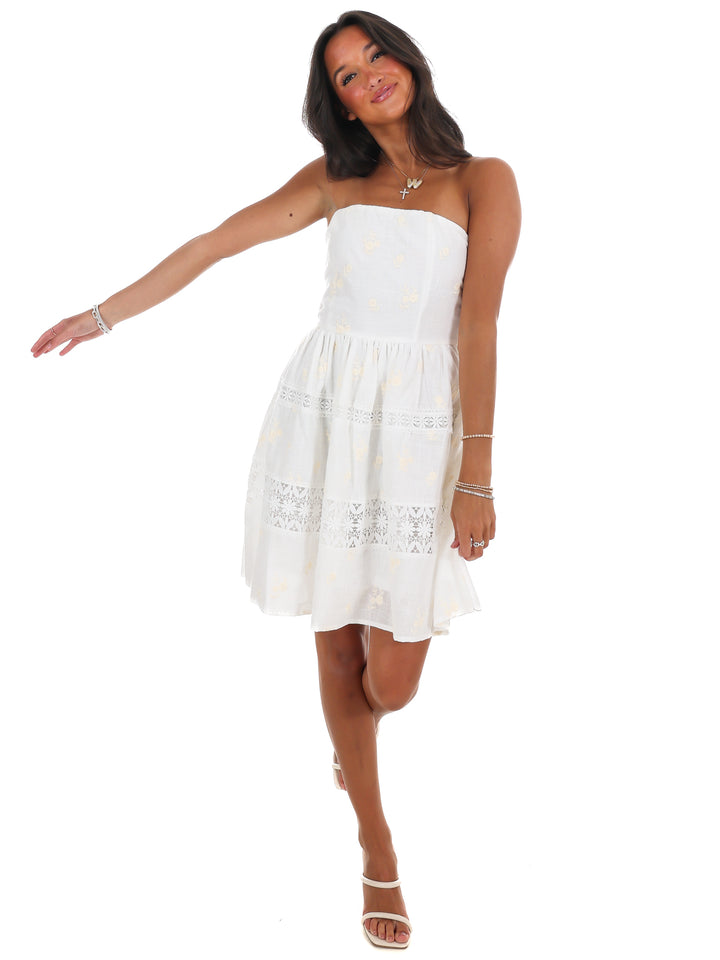 Lovelace Embroidered Mini Dress