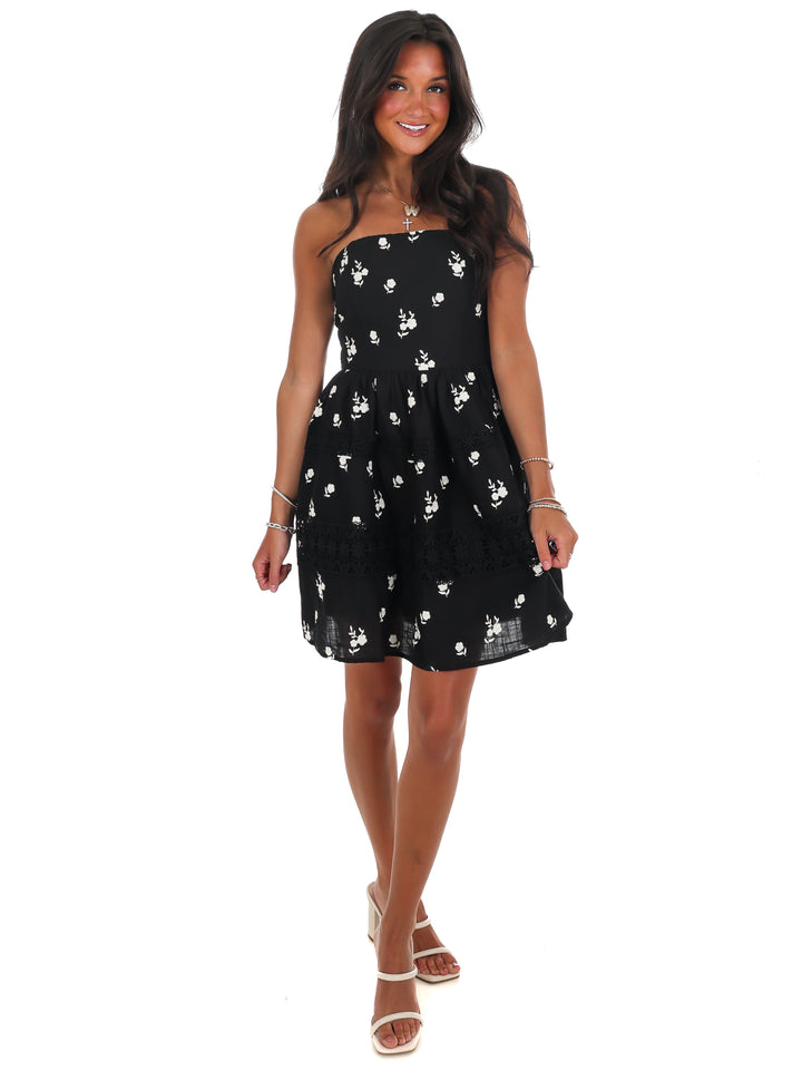 Lovelace Embroidered Mini Dress