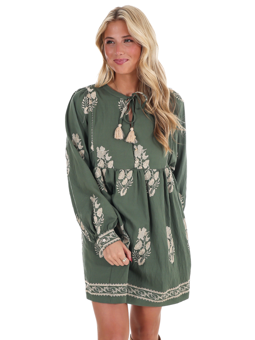 The Way it Goes Embroidered Mini Dress