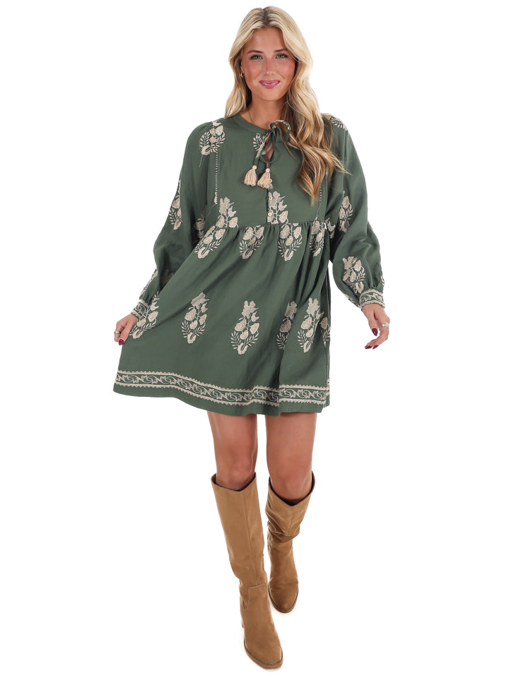 The Way it Goes Embroidered Mini Dress