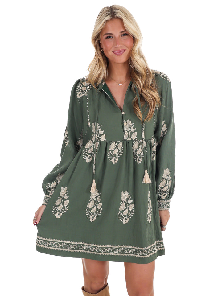 The Way it Goes Embroidered Mini Dress