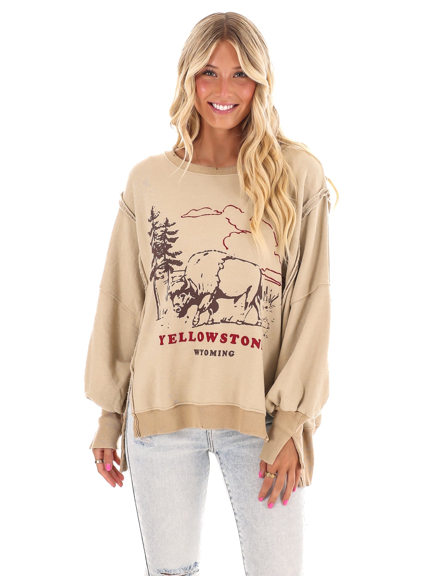 Free People Graphic Camden Yellowstone Bison Pullover Josie s Boutique