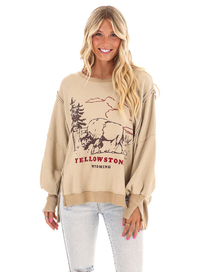 Free People Graphic Camden Yellowstone Bison Pullover