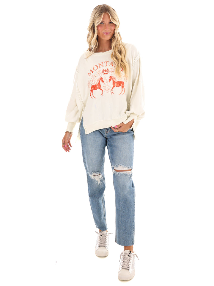 Free People Graphic Camden Coconut Combo Mountain Pullover