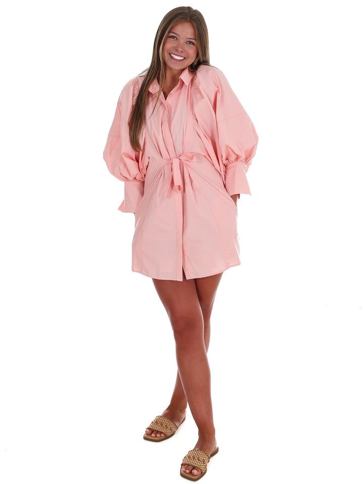 Classy Puff Sleeve Mini Dress