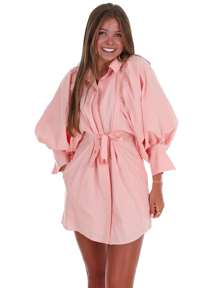Classy Puff Sleeve Mini Dress