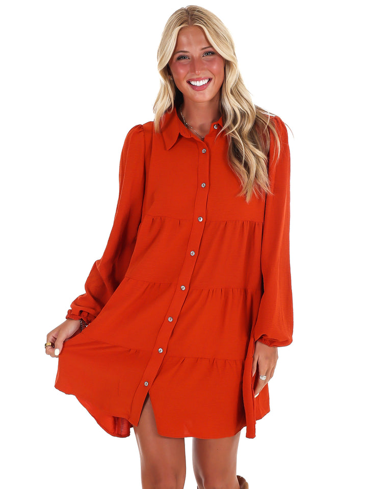 Morning Light Button Down Dress