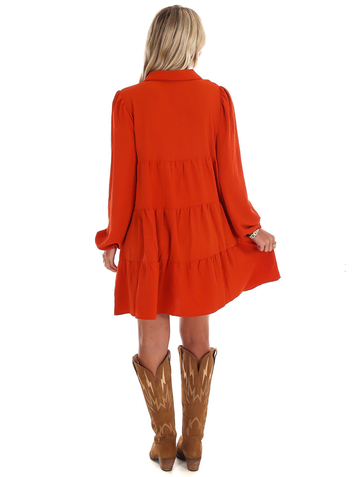 Morning Light Button Down Dress