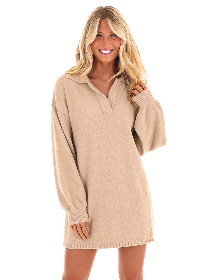 Grand Gesture Fuzzy Sweater Dress