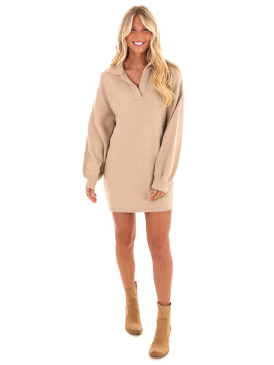 Grand Gesture Fuzzy Sweater Dress