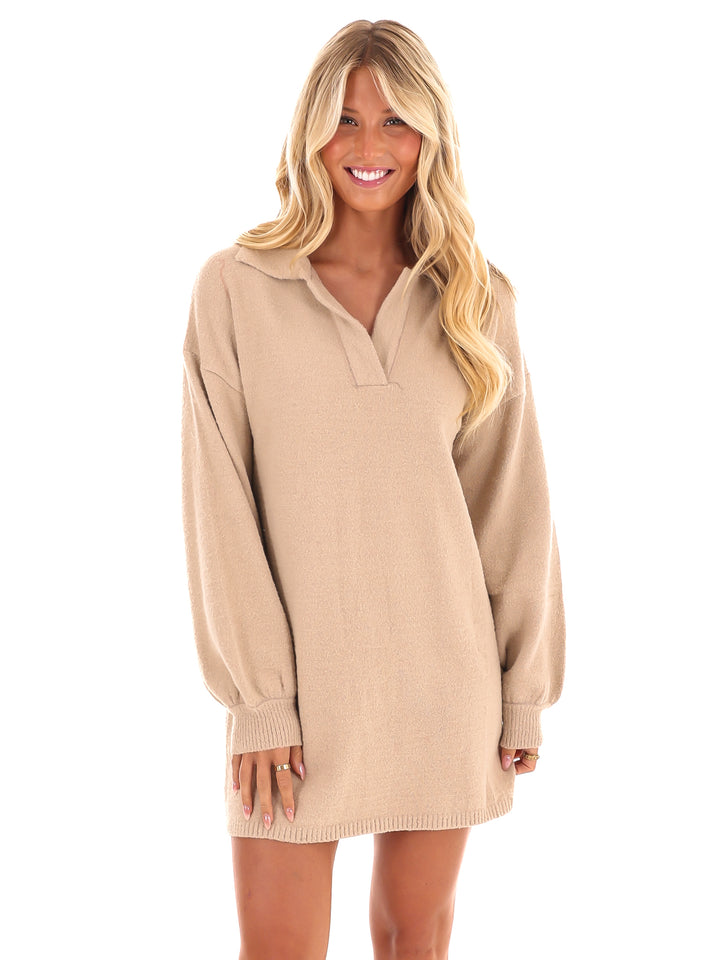 Grand Gesture Fuzzy Sweater Dress