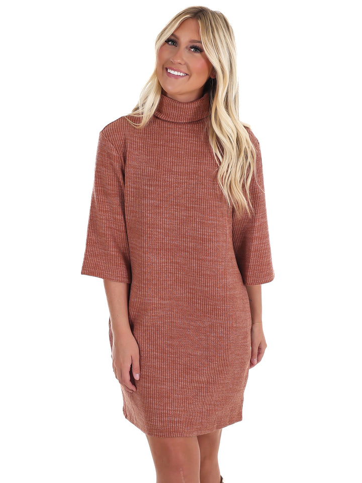 Fall Muse Turtleneck Dress