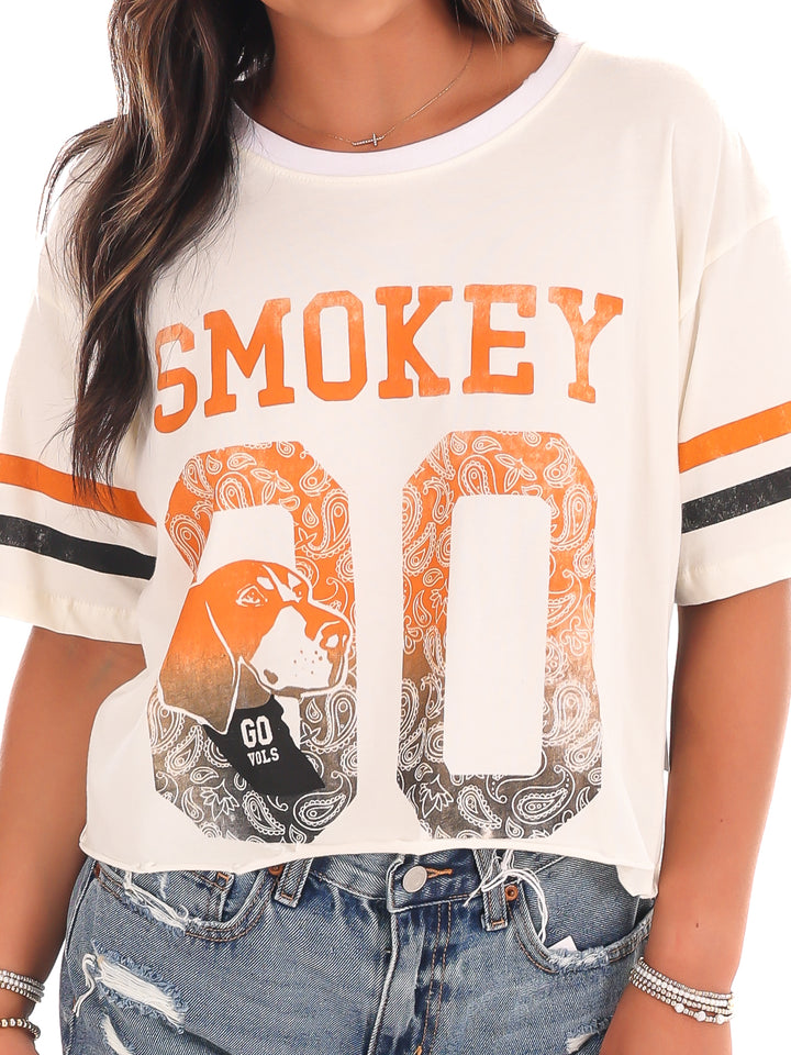 Smokey Distressed Crop Top