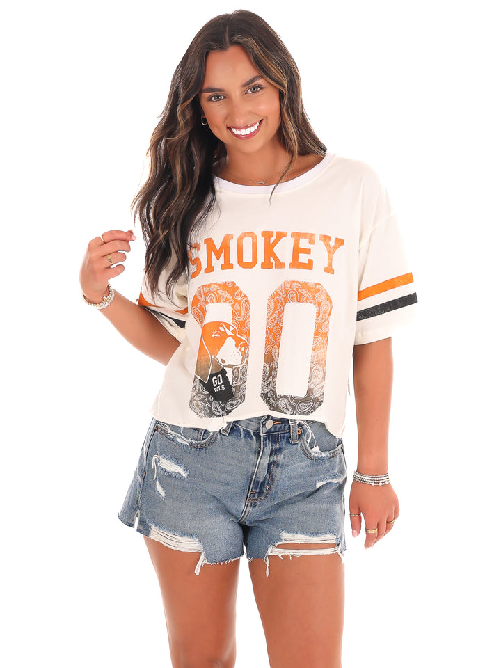 Smokey Distressed Crop Top