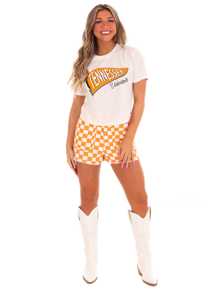 Tennessee Pennant Flag Crop Top