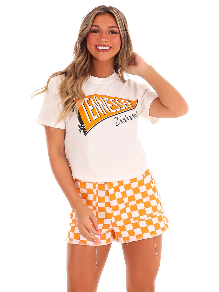 Tennessee Pennant Flag Crop Top