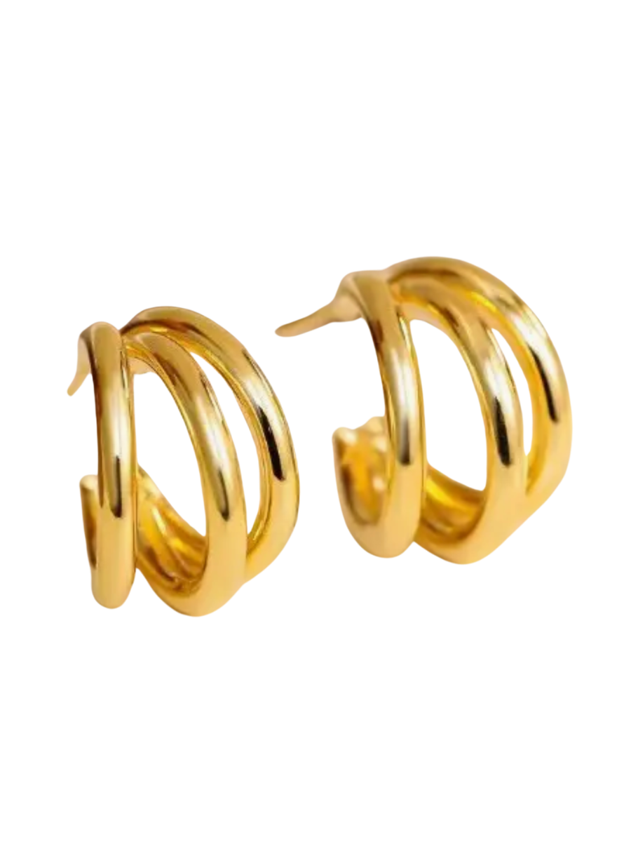 Double Circular Hoops